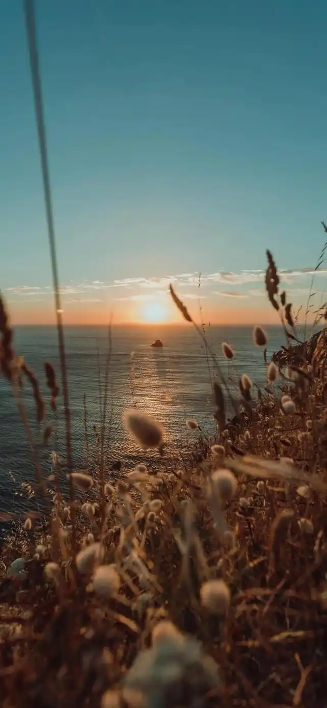 壁纸丨心存微光,生活明朗