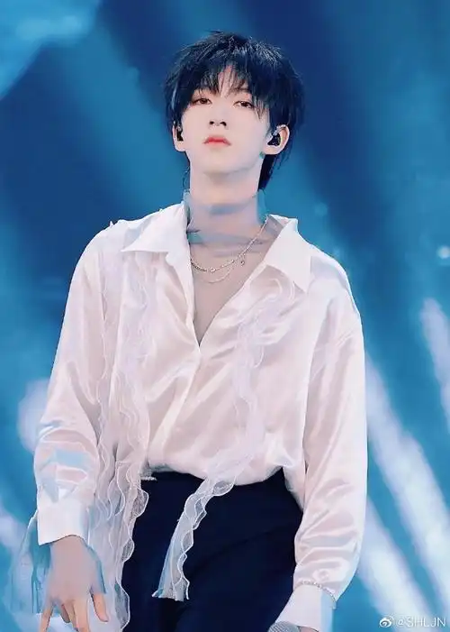 贺峻霖 画报颜值