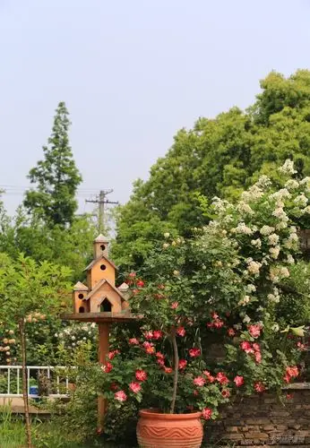 无锡长安车友会驾15访多多花园