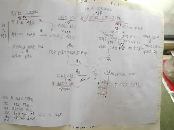 我想弱弱的问一下复活悲惨世界这种700页左右的大部头大家都多久读完