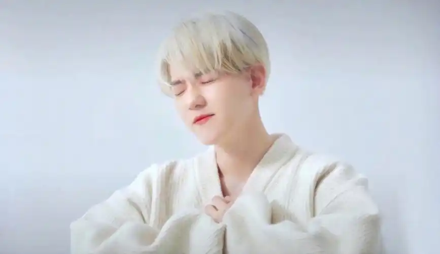 边伯贤头像壁纸④