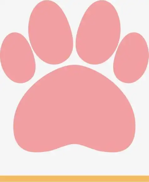 猫的手印简笔画