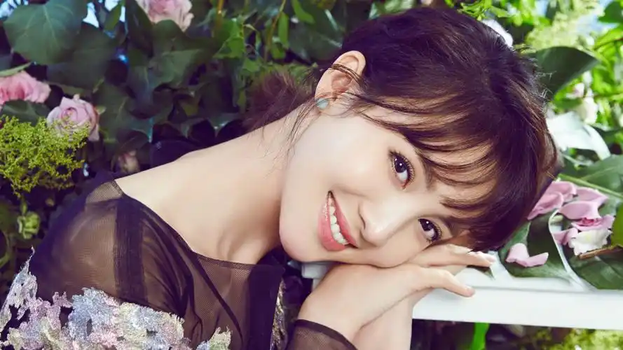 女明星金晨桌面壁纸(12/20)