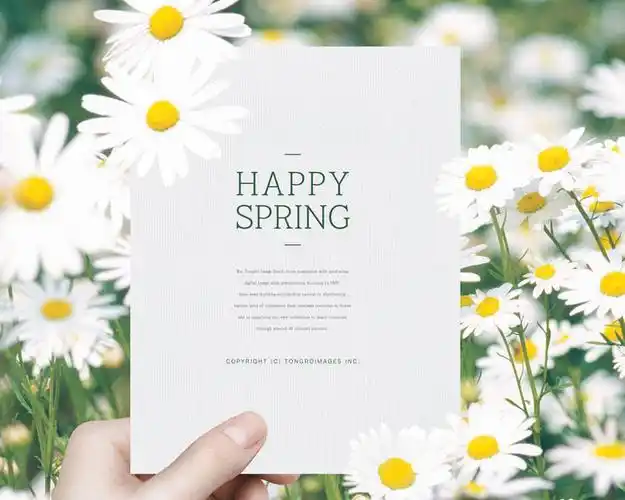 小清新封面与花朵psd素材