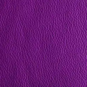 浮雕梅花枝干图片