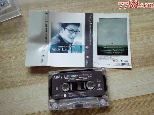 刘德华-回家真好