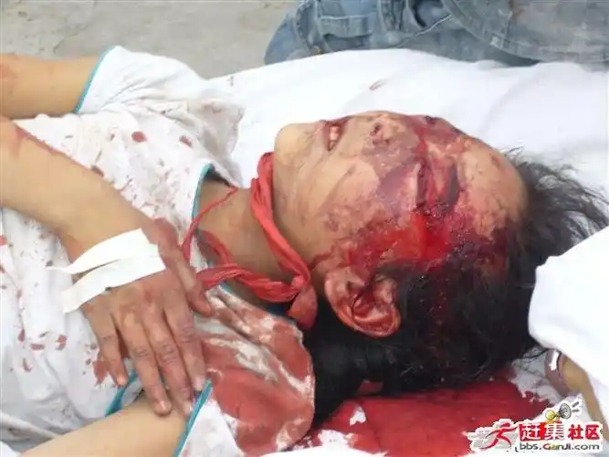 电视不播的地震图片