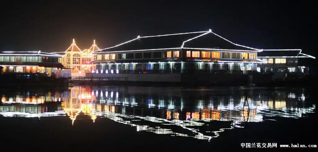 美在长荡湖夜景欣赏