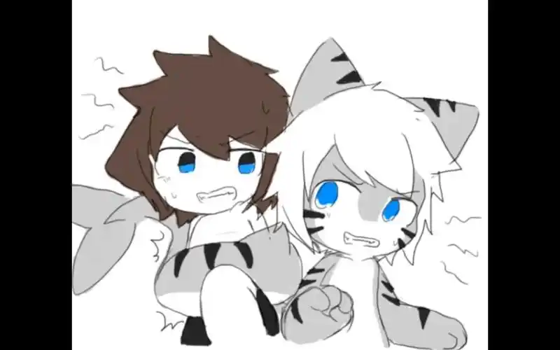 喵鲨changed萌图第2期