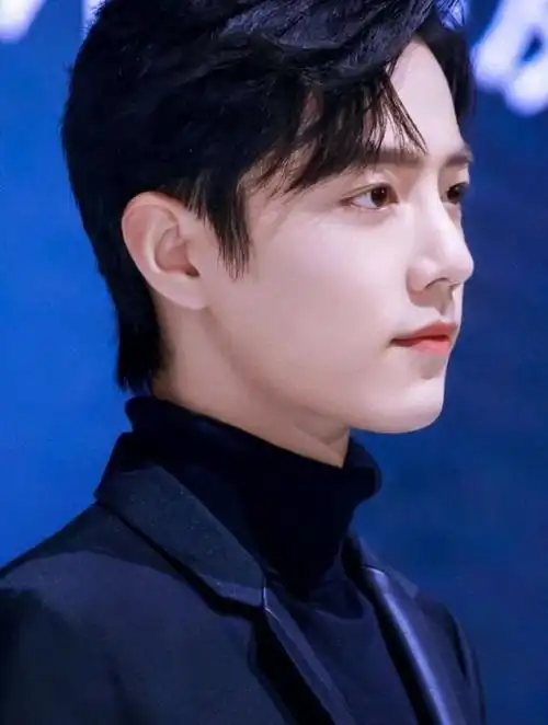 肖战侧颜杀好精致的男孩