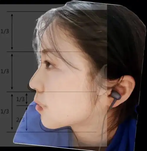 标准侧脸跟个风