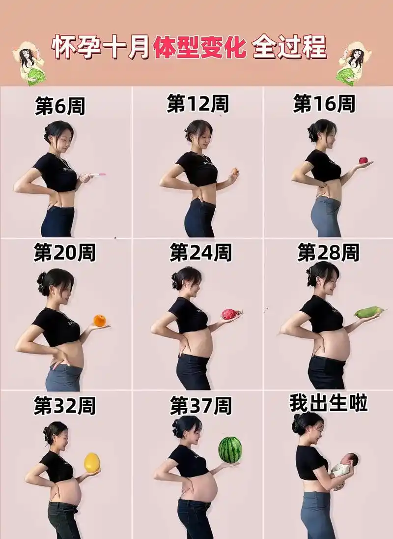 胎儿在妈妈肚子里十月大小变化.