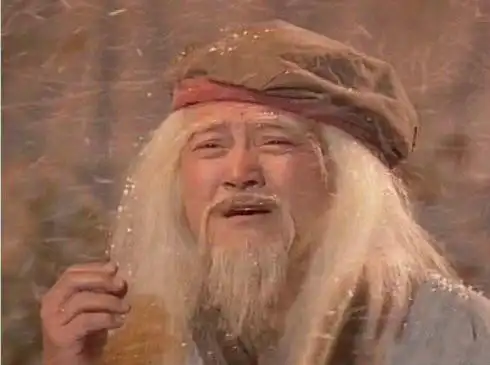 翁美玲主演电视剧《射雕英雄传》中饰演洪七公刘庆基一生总共演了四次