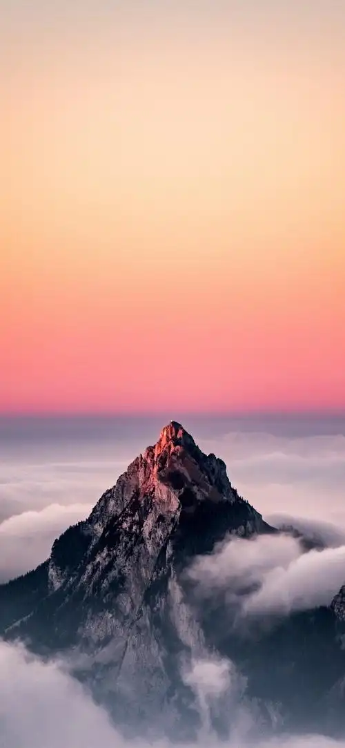 来一波壁纸 - 第72页 - 资源共享 - 一加手机社区官方论坛