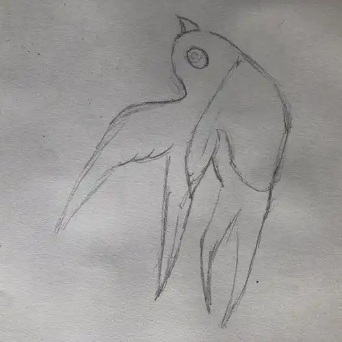 1铅笔画出燕子的轮廓