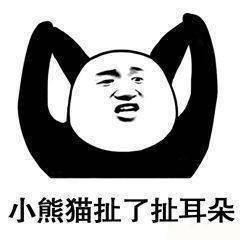 熊猫人 熊猫 熊猫表情包 暴漫熊猫 小熊猫