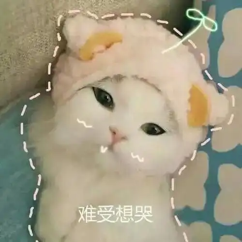 难受想哭 - 一组萌翻了的猫咪表情包表情