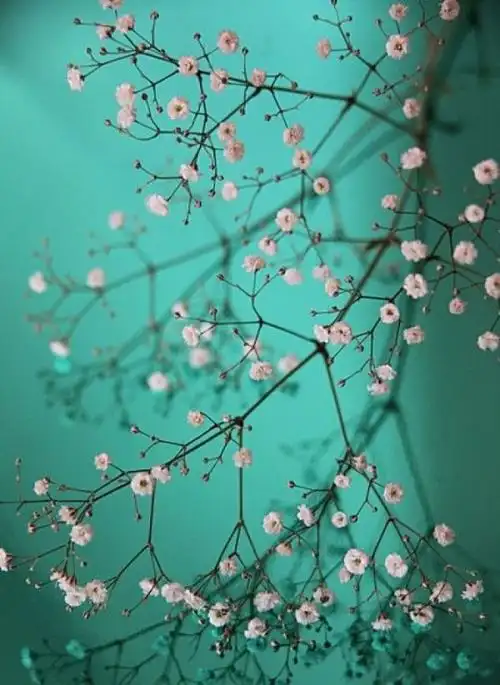 什么时候我等的人也能回来 — 唯美图片大全 qqjay空间站