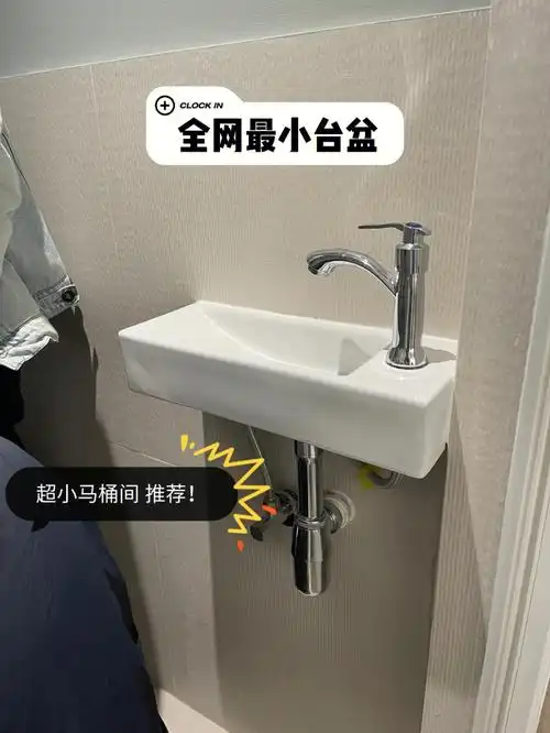 挑战全网最小马桶间最小台盆