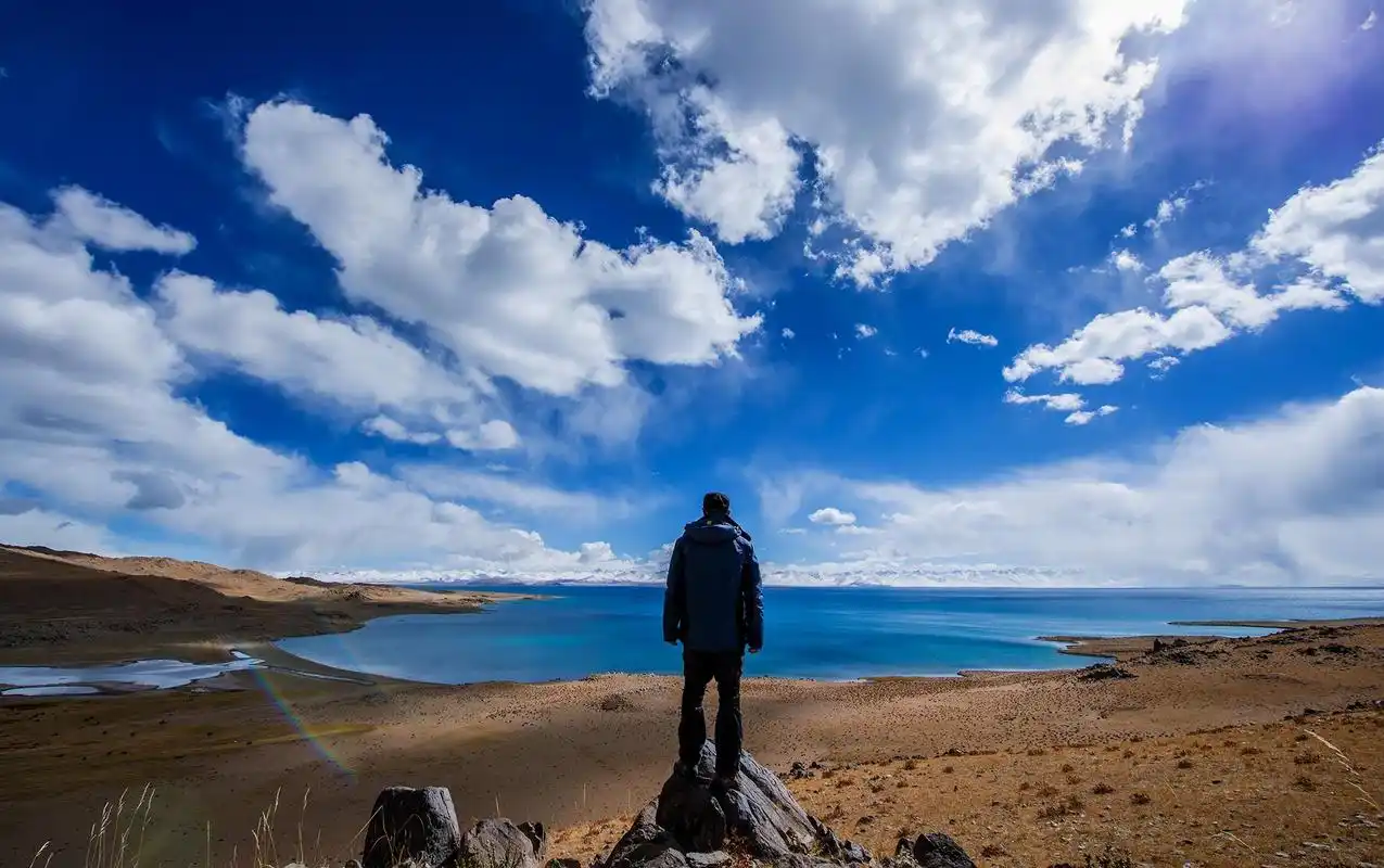 今年五一或是"五年内最火"假期,车票一票难求,你买到车票了吗