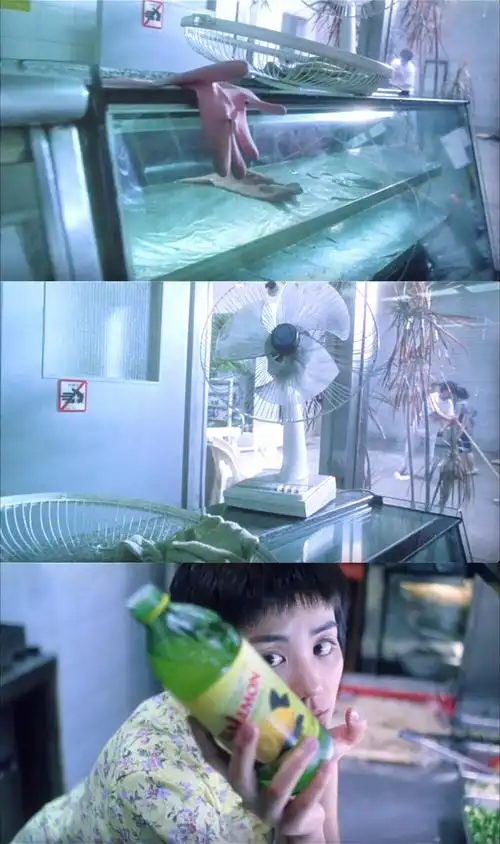 重庆森林 - 堆糖,美图壁纸兴趣社区