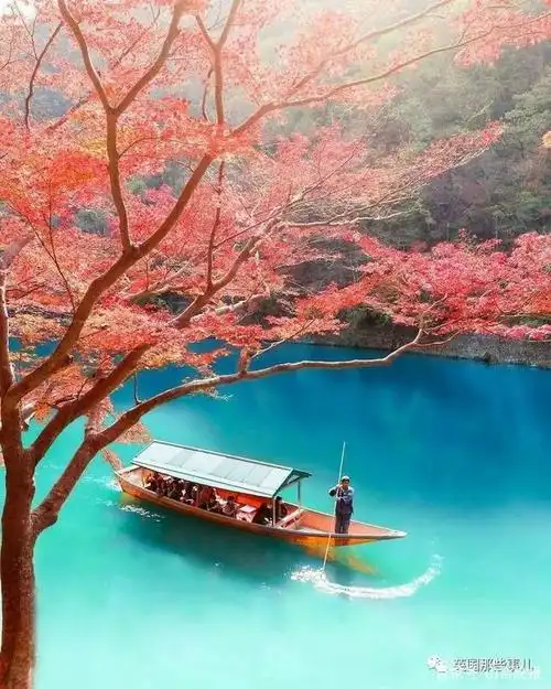 网友分享自己见过最美的风景每一张都可以拿来当壁纸