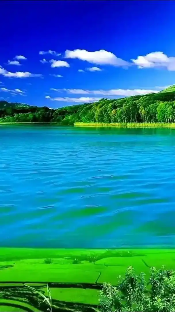 蓝天白云绿草地这风景太美了, 感受大自然的气息和美景