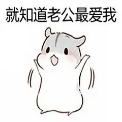 老公表情包关于老公的表情包小仓鼠老公表情包
