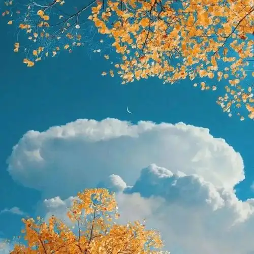 ins超美朋友圈背景图