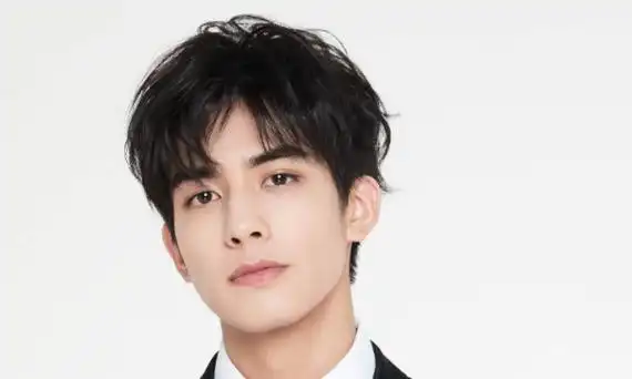 姓宋的名人明星有哪些,宋姓的名人有哪些图2