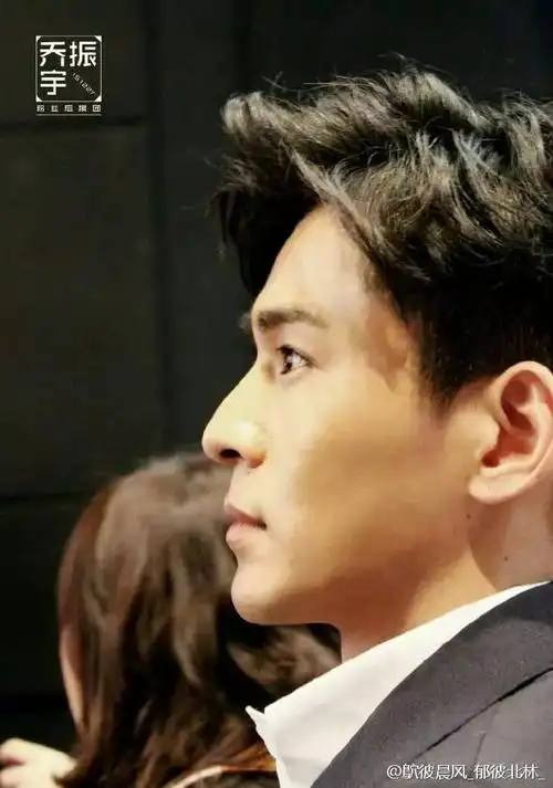 (不是黄海波)张智霖和张智尧张智霖和白古古张智霖陈晓陆毅年轻时候的