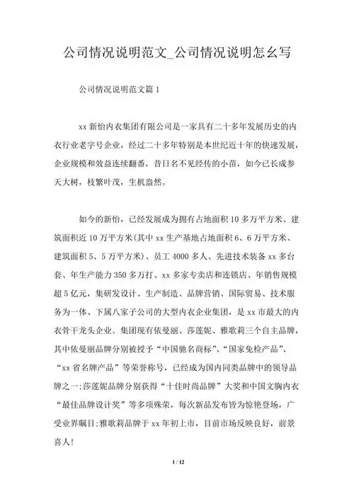 公司情况说明范文_公司情况说明怎幺写