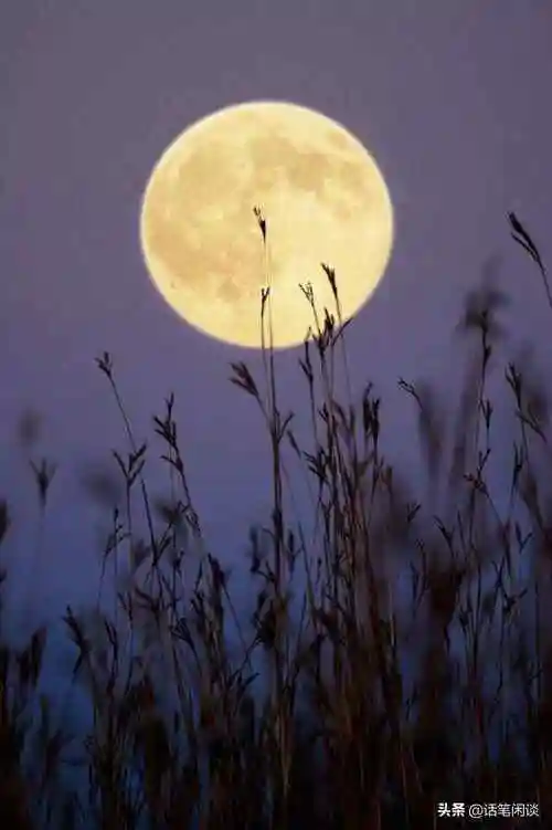 描写月亮的诗句有哪些女性脱发是什么原因引起的