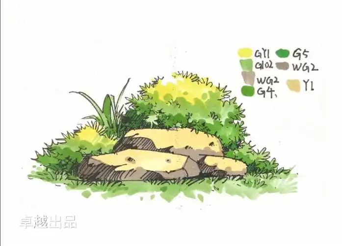 马克笔手绘灌木丛77步骤60