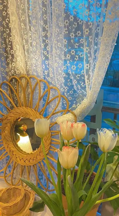 ins背景图治愈系(超治愈ins风壁纸)