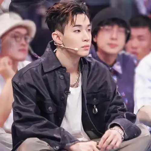 头像|刘宪华头像