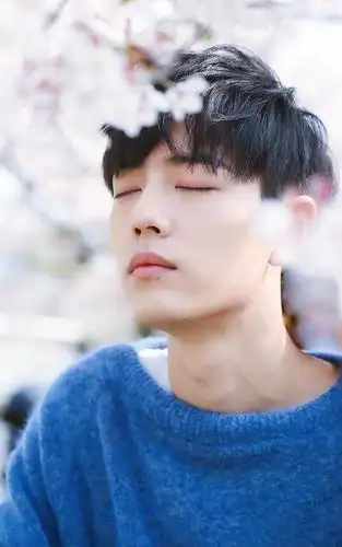 肖战蓝色毛衣樱花系图片:战战可真好看