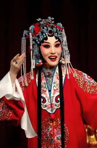 大京星光闪耀一杨鹏程(青衣)