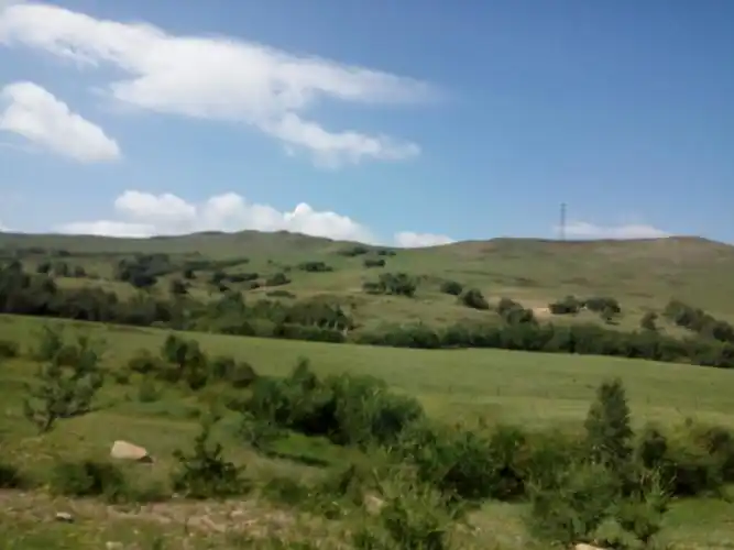 走进内蒙古(之三) 这里展示的是塞罕坝草原,属于高山草原类型.