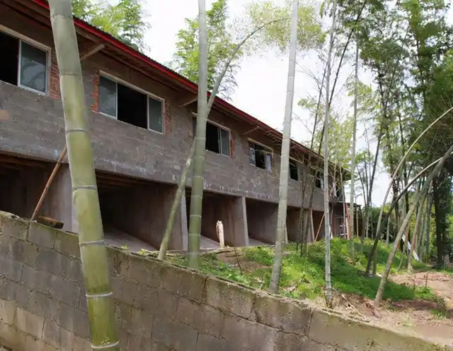 很多农民采用的一种羊舍,原来有4个优势,南方比较普及