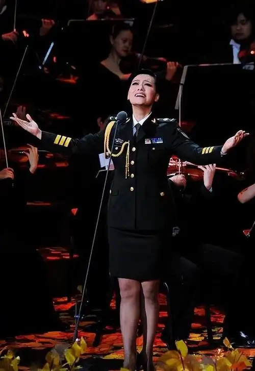 歌手谭晶我这辈子最明智的决定就是为科学家丈夫生一对双胞胎