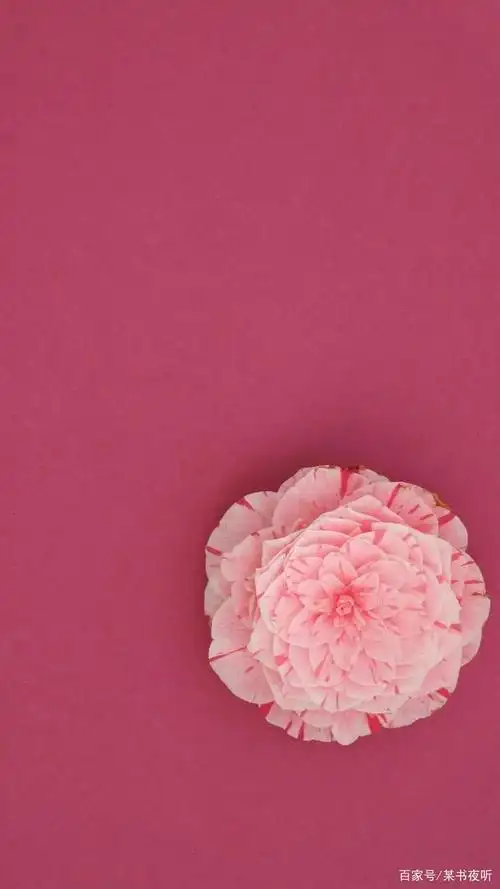 某书壁纸:少女心爆棚 粉色系壁纸