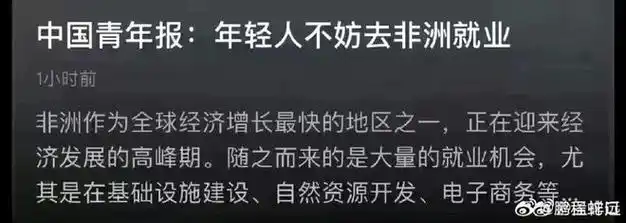 中国打工人我去非洲当人上人