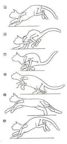简笔画连续动作分解图