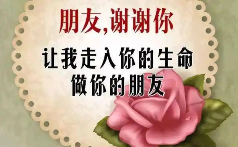 朋友有你真好作文700字六年级