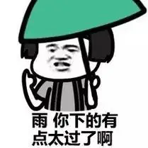 雨,你下的有点太过了啊 - 斗图表情包 - 斗图达人