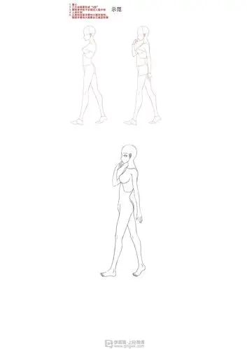 侧面的人体结构和细化