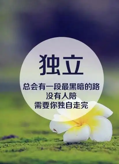 成年后的放下:一半是理解,一半是算了