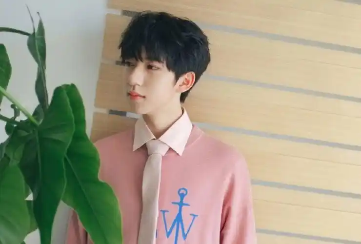 可可爱爱贺峻霖