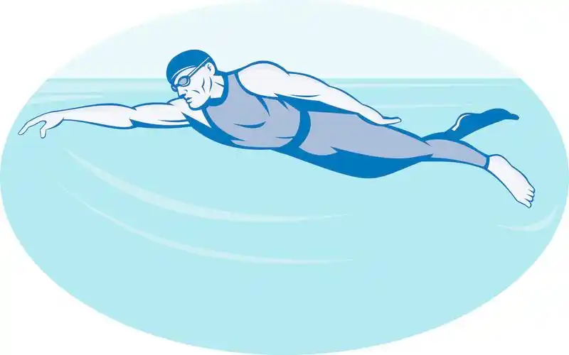 长距离游泳,划距和划频究竟哪个更重要? - 文章